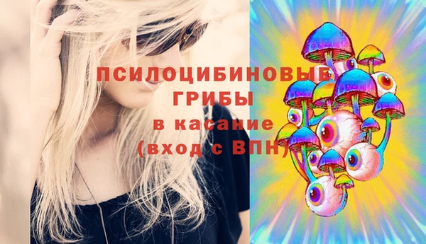 гидропоника Галич