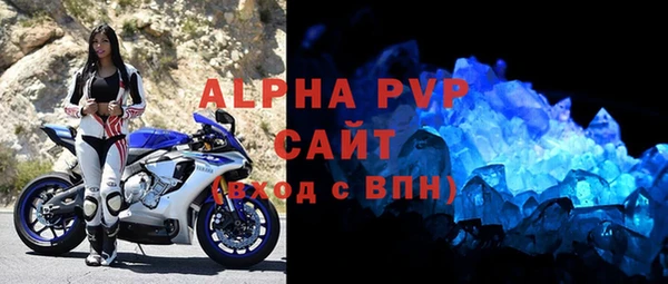 a pvp Пересвет