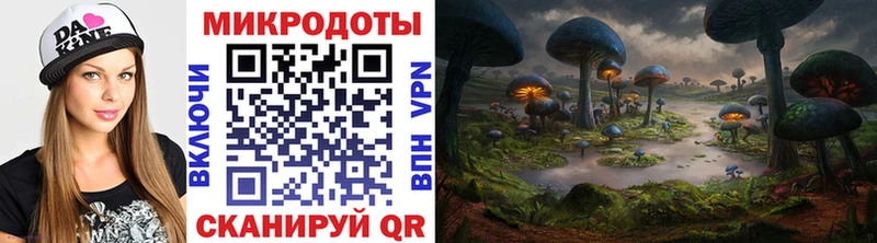 OMG ONION  Покачи  Псилоцибиновые грибы Psilocybe 